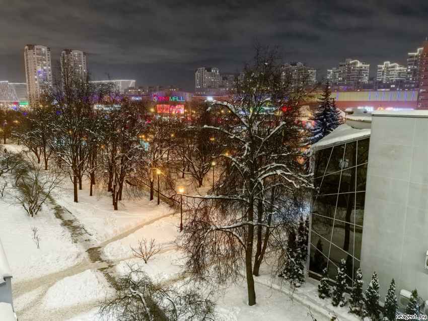 1-комнатная квартира, Независимости просп., 145, 460 рублей: фото 18