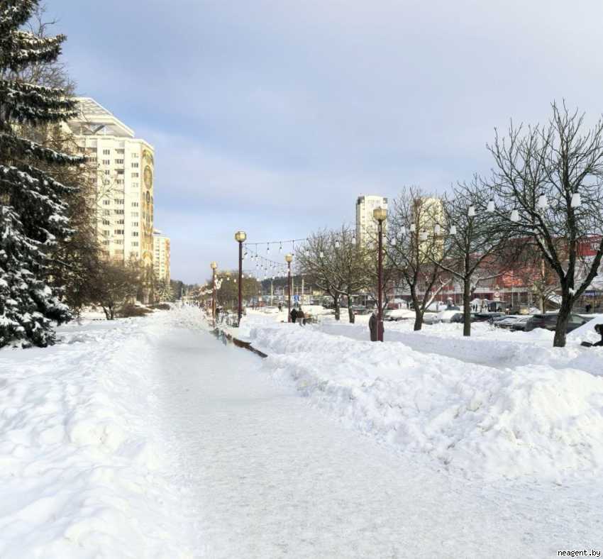 1-комнатная квартира, Независимости просп., 145, 460 рублей: фото 19