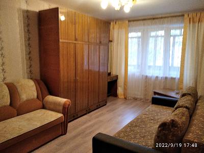 1-комнатная квартира, проспект Пушкина, 5, 1100 рублей: фото 1