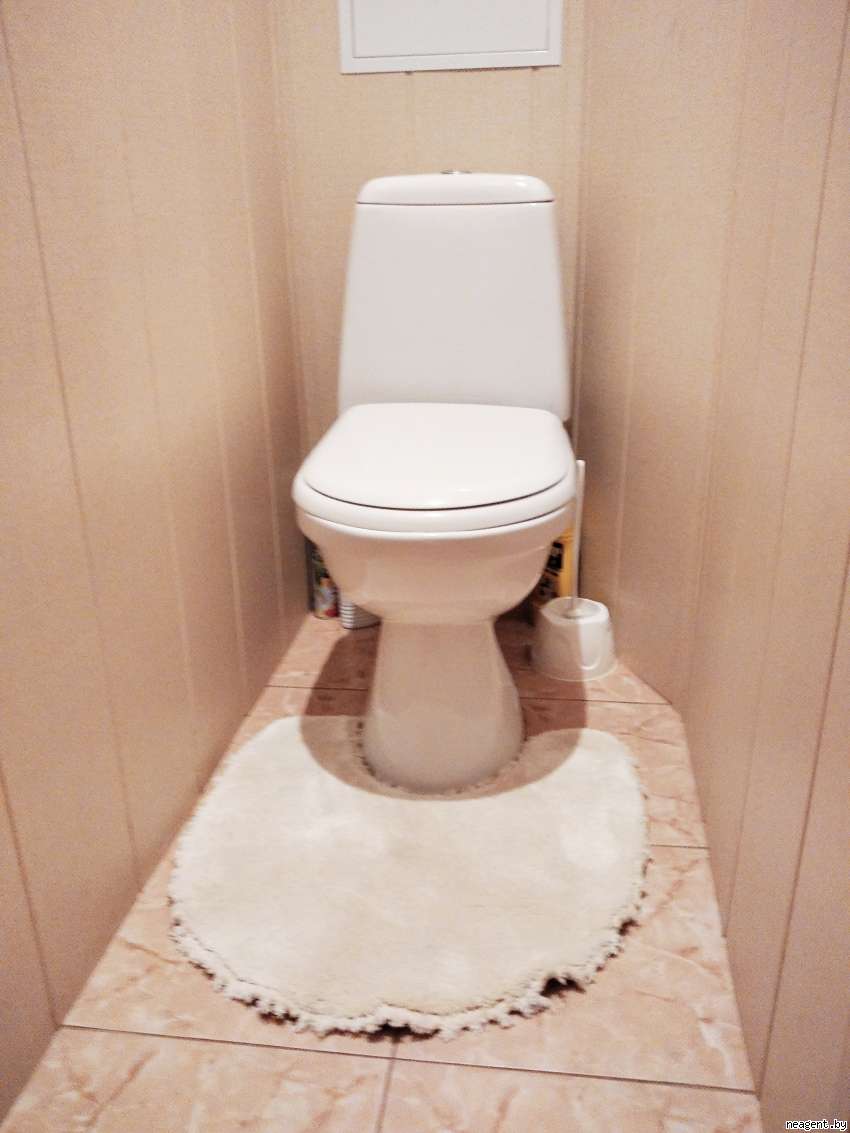 1-комнатная квартира, проспект Пушкина, 5, 1100 рублей: фото 9