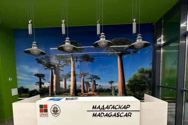 1-комнатная квартира, р-н ул. Белградская: Игоря Лученка ул., за 400 р.