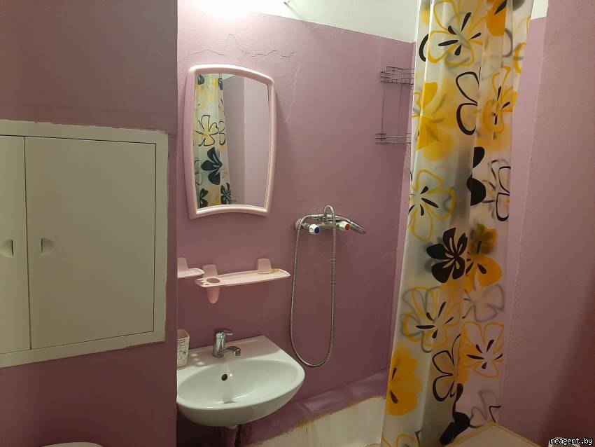 1-комнатная квартира, ул. Пржевальского 2-я, 2, 350 рублей: фото 11