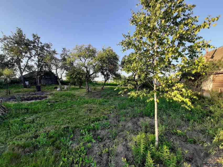 Дом, Центральная, 21, 16000 рублей: фото 4