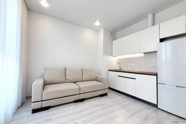 1-комнатная квартира, Михаила Савицкого ул., за 420 р.