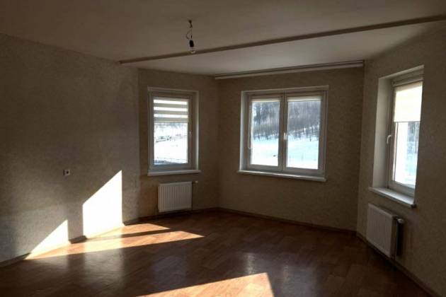 1-комнатная квартира, Маршала Лосика ул., за 1111 р.