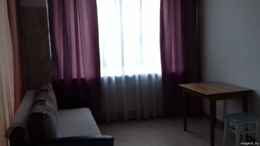 1-комнатная квартира, Дзержинского просп., 94, 350 рублей: фото 2