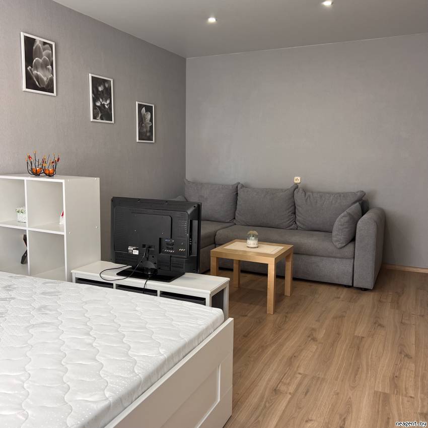 1-комнатная квартира, ул. Скрипникова, 4, 380 рублей: фото 3