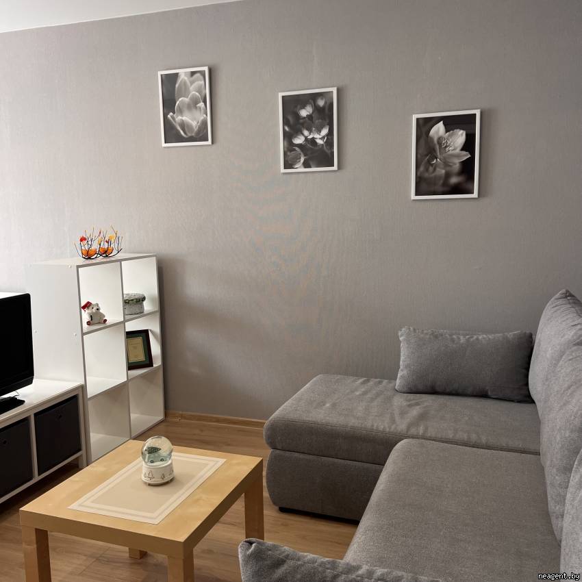 1-комнатная квартира, ул. Скрипникова, 4, 380 рублей: фото 4