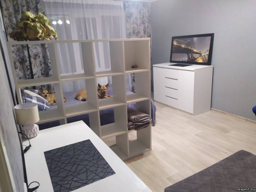 1-комнатная квартира, ул. Одоевского, 40, 890 рублей: фото 9