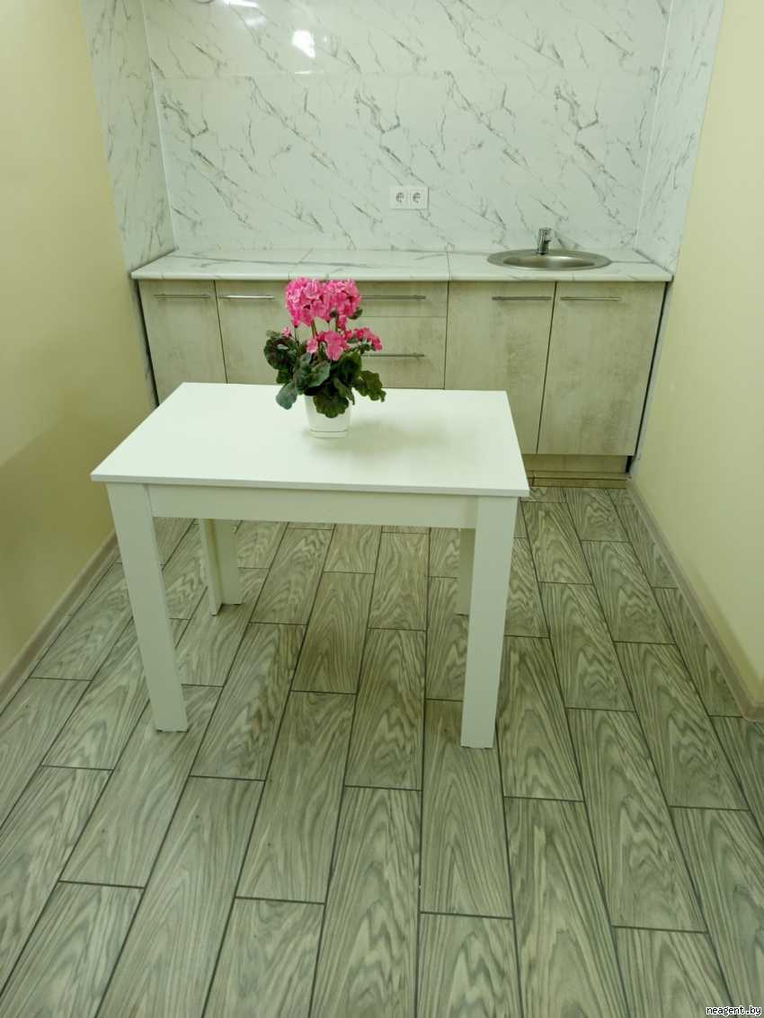 1-комнатная квартира, Переулок Мицкевича, 4/1, 80 рублей: фото 1