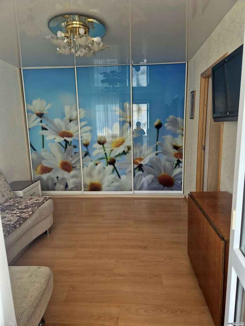 2-комнатная квартира, Партизанский просп., 30/2, 450 рублей: фото 4