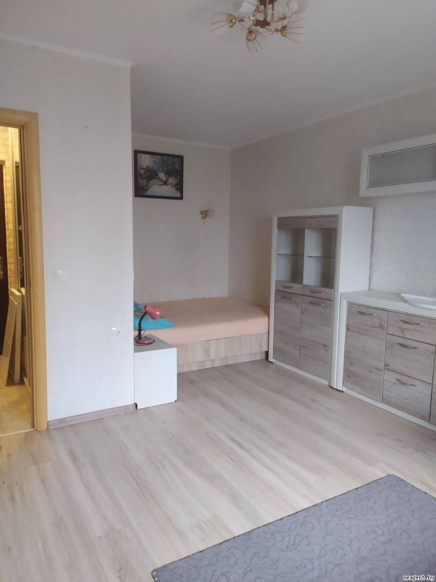 1-комнатная квартира, ул. Академика Карского, 17, 1200 рублей: фото 12