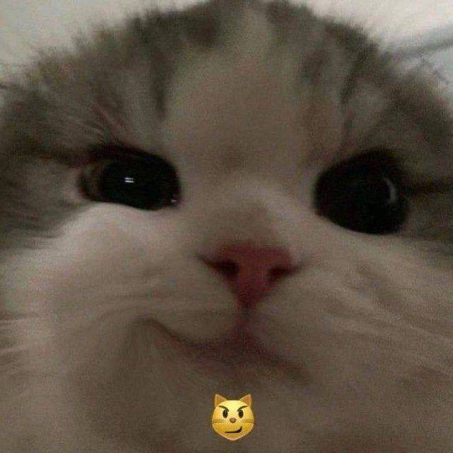 Поиск квартиры, , 1500 рублей: фото 1