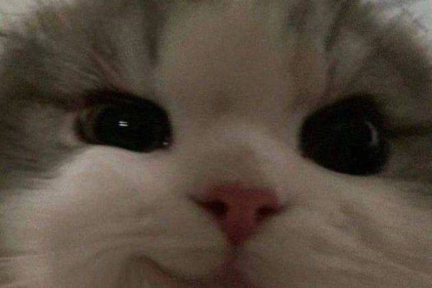 Поиск квартиры за 1500 р.