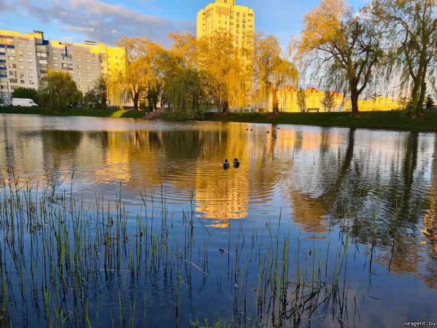 2-комнатная квартира, ул. Притыцкого, 45, 1750 рублей: фото 8