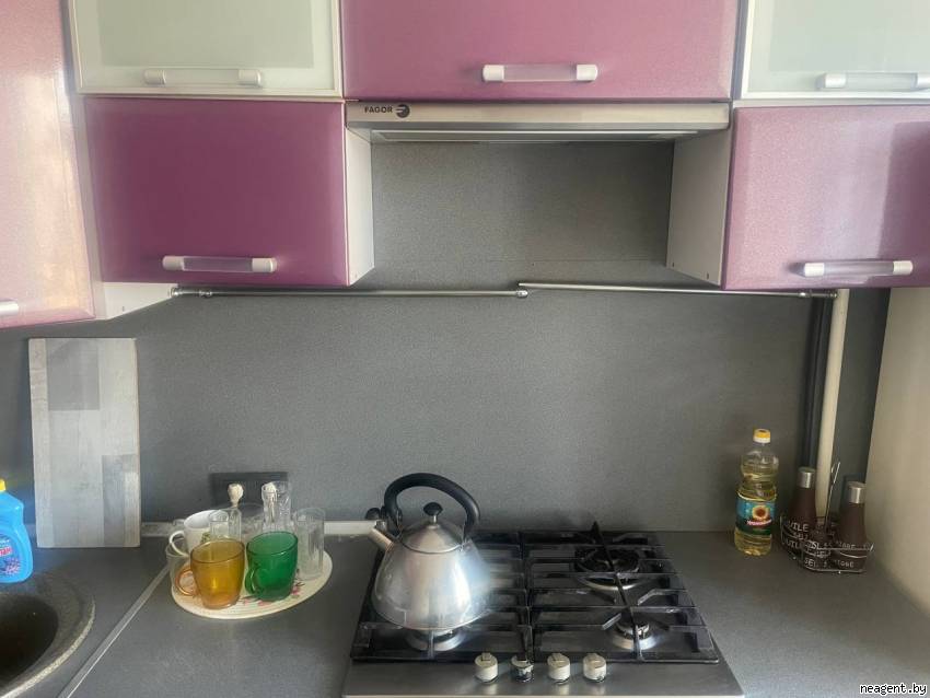 2-комнатная квартира, Партизанский просп., 32/2, 1589 рублей: фото 3