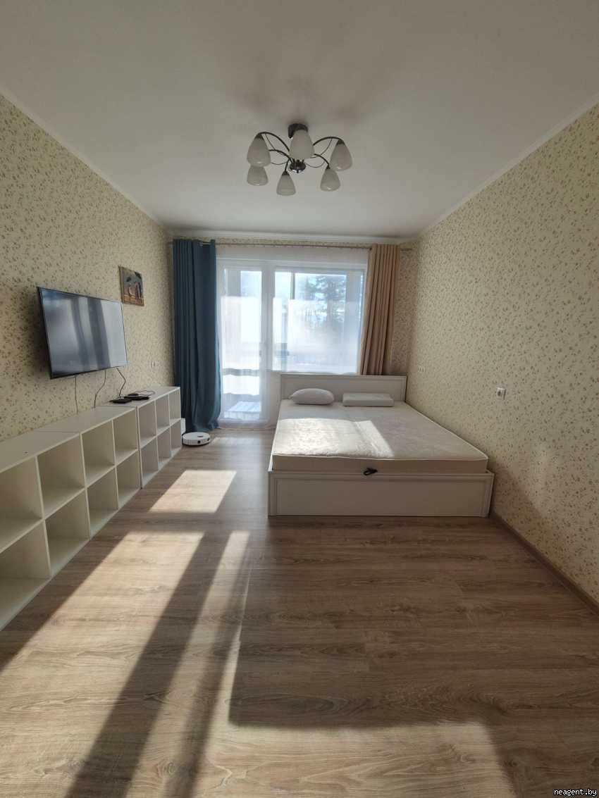 1-комнатная квартира, Н.Н.Александрова, 19, 1011 рублей: фото 1