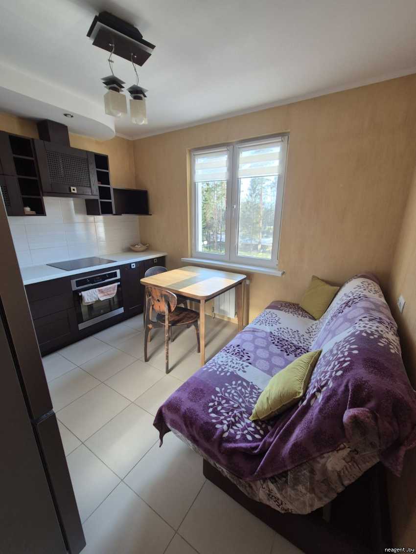 1-комнатная квартира, Н.Н.Александрова, 19, 1011 рублей: фото 4