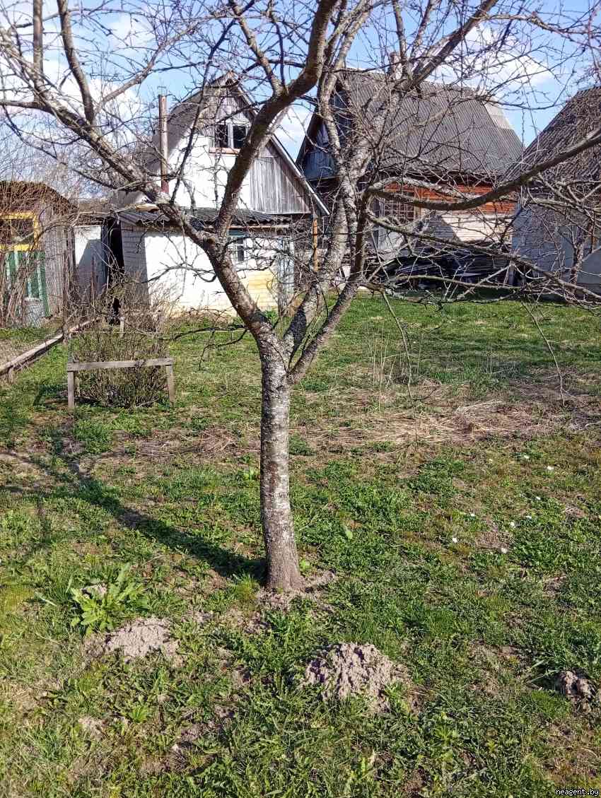 Дом, Западная , 11, 28011 рублей: фото 24