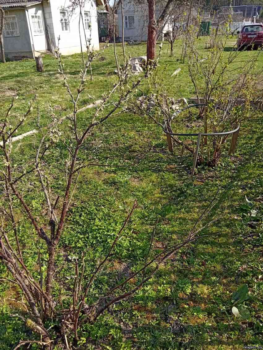 Дом, Западная , 11, 28011 рублей: фото 25