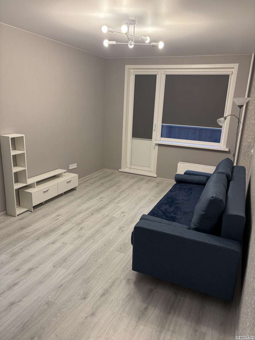 1-комнатная квартира, ул. Гинтовта, 4, 986 рублей: фото 9