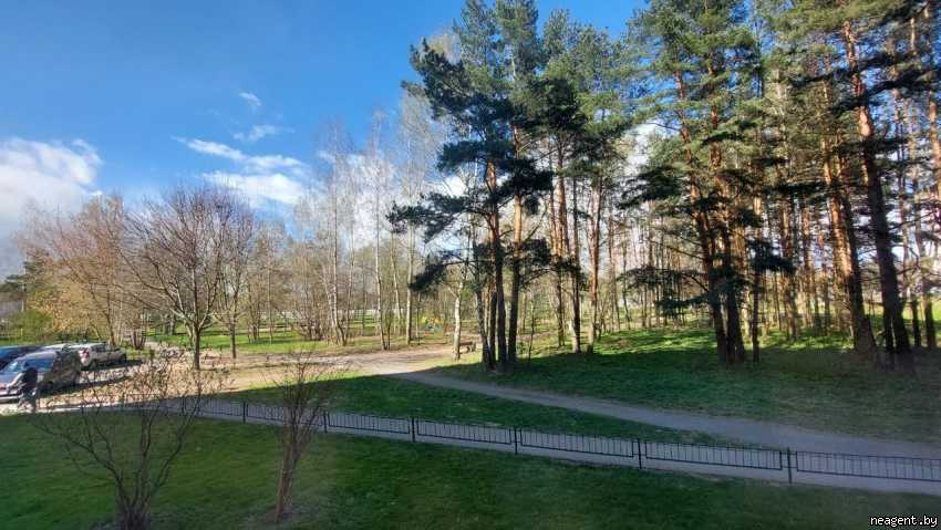 2-комнатная квартира, ул. 50 лет Победы, 12, 1250 рублей: фото 18