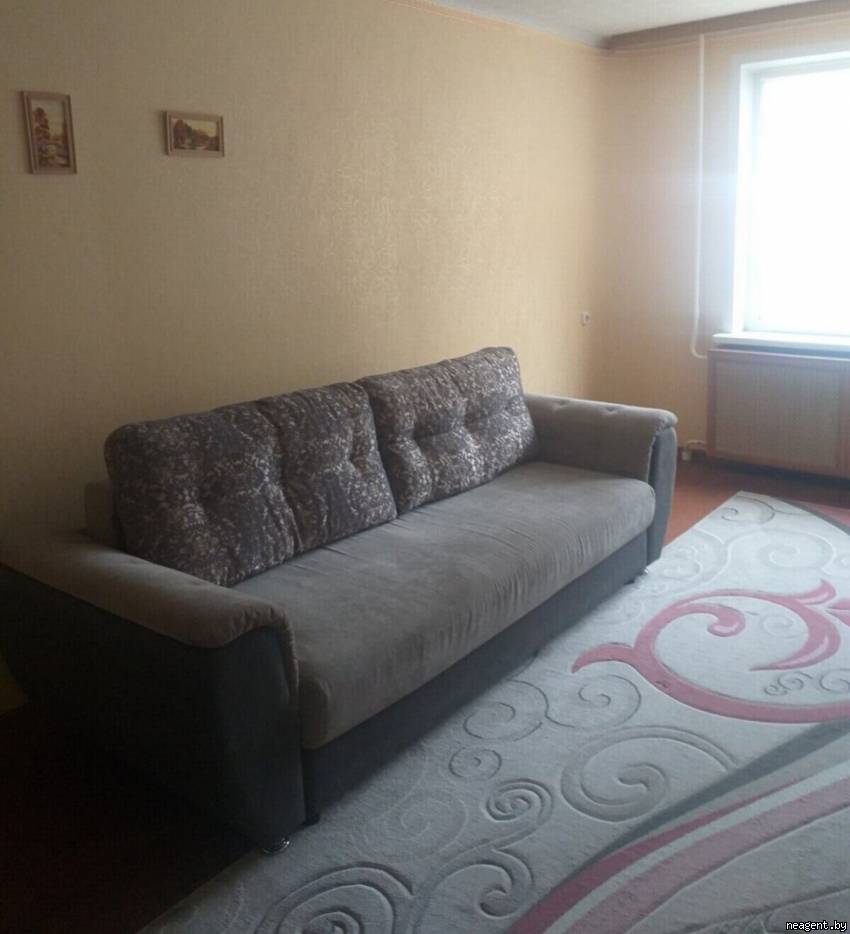 1-комнатная квартира, ул. Притыцкого, 17, 838 рублей: фото 3