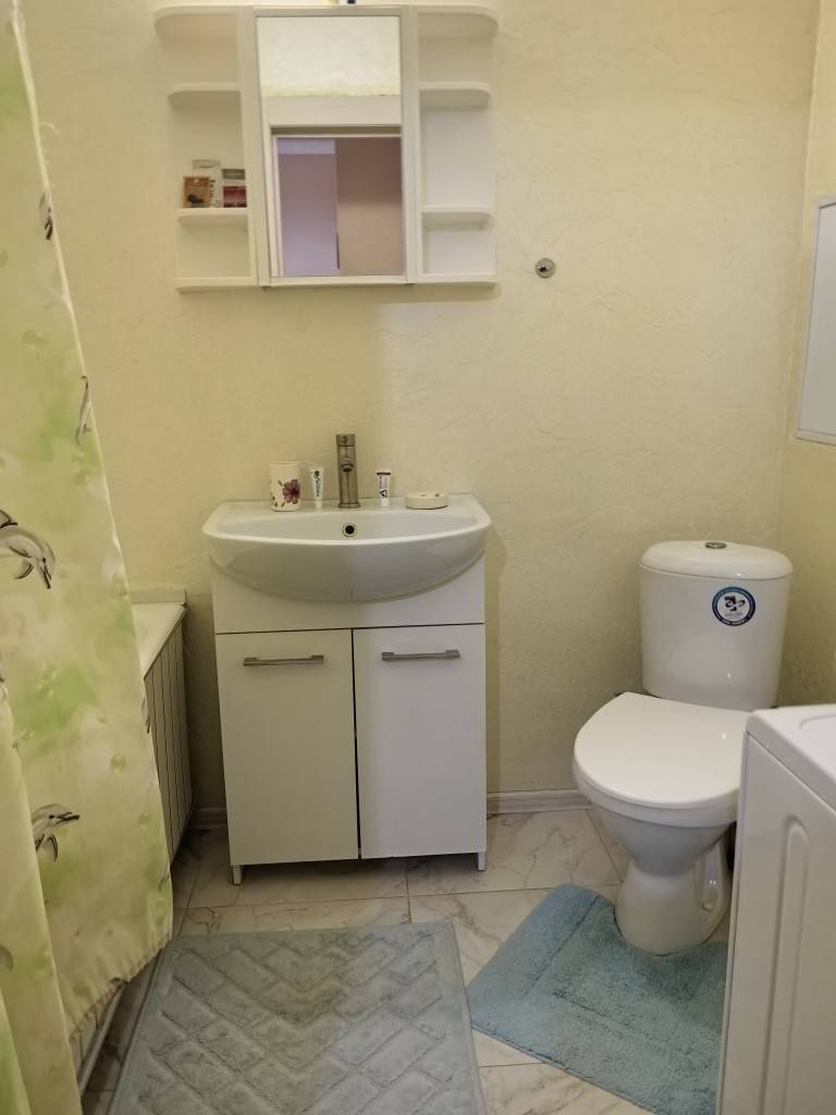 1-комнатная квартира, ул. Язепа Дроздовича, 6, 1250 рублей: фото 10