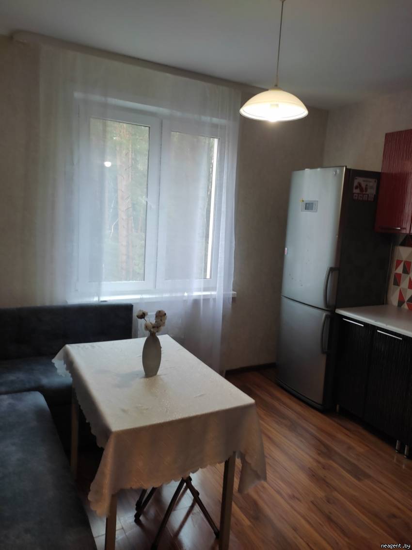 1-комнатная квартира, ул. Александрова, 16, 900 рублей: фото 8