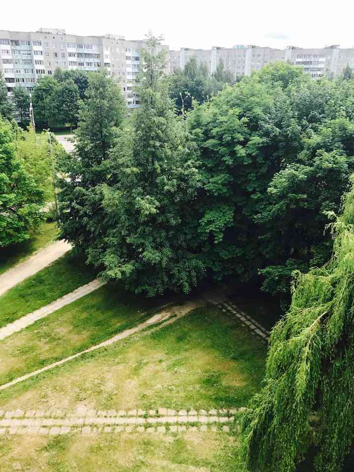 1-комнатная квартира, Газеты Звязда просп., 10/1, 1350 рублей: фото 5