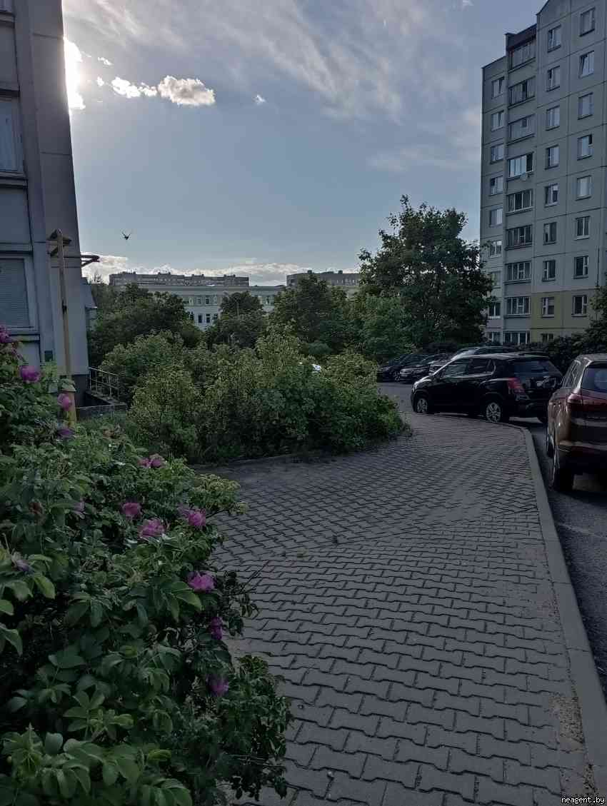 2-комнатная квартира, ул. Лещинского, 31/3, 346450 рублей: фото 5