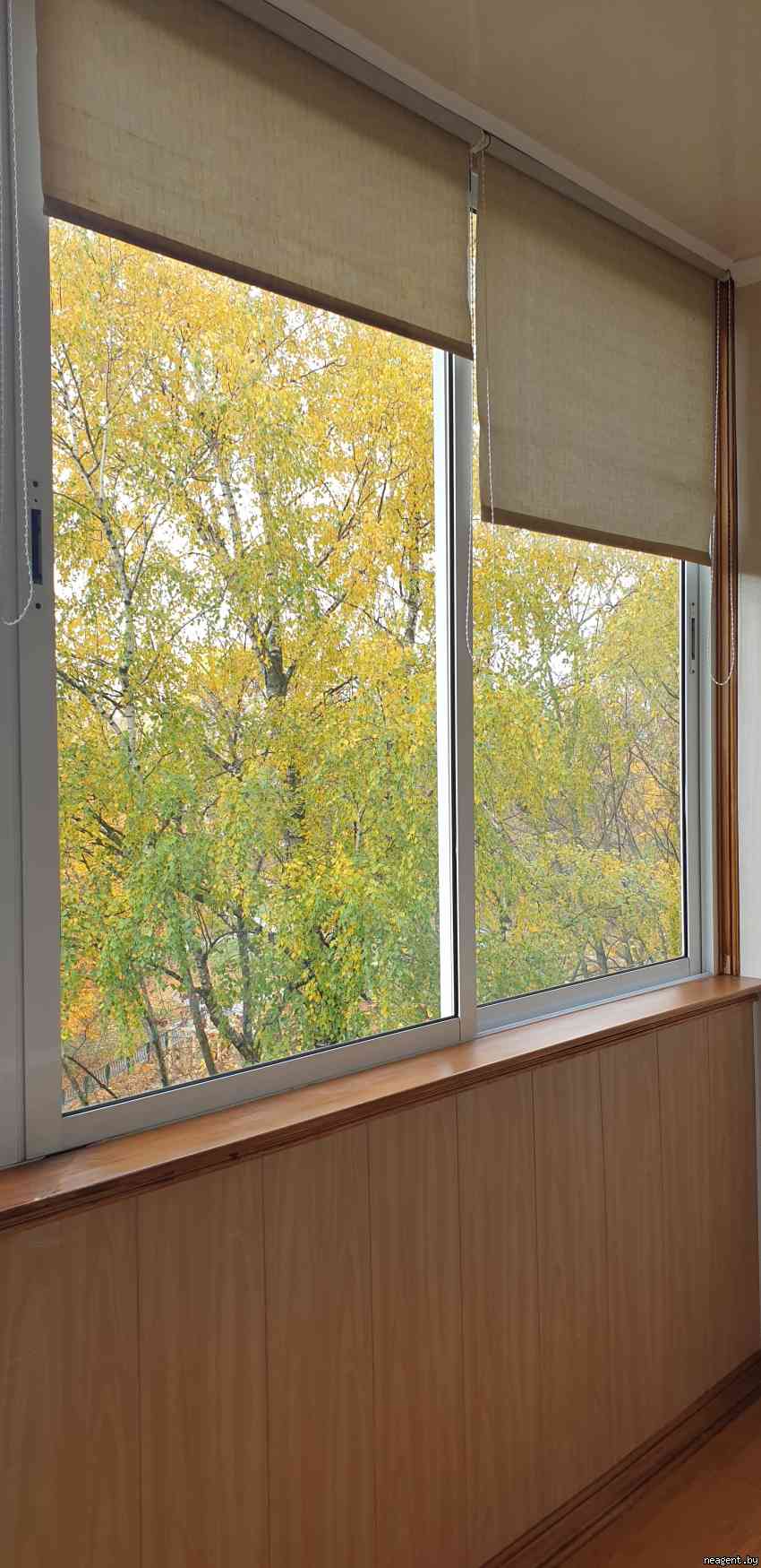 1-комнатная квартира, ул. Кульман, 15, 480 рублей: фото 13