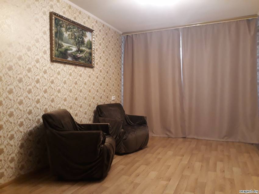 1-комнатная квартира, Пушкина просп., 30, 1010 рублей: фото 1