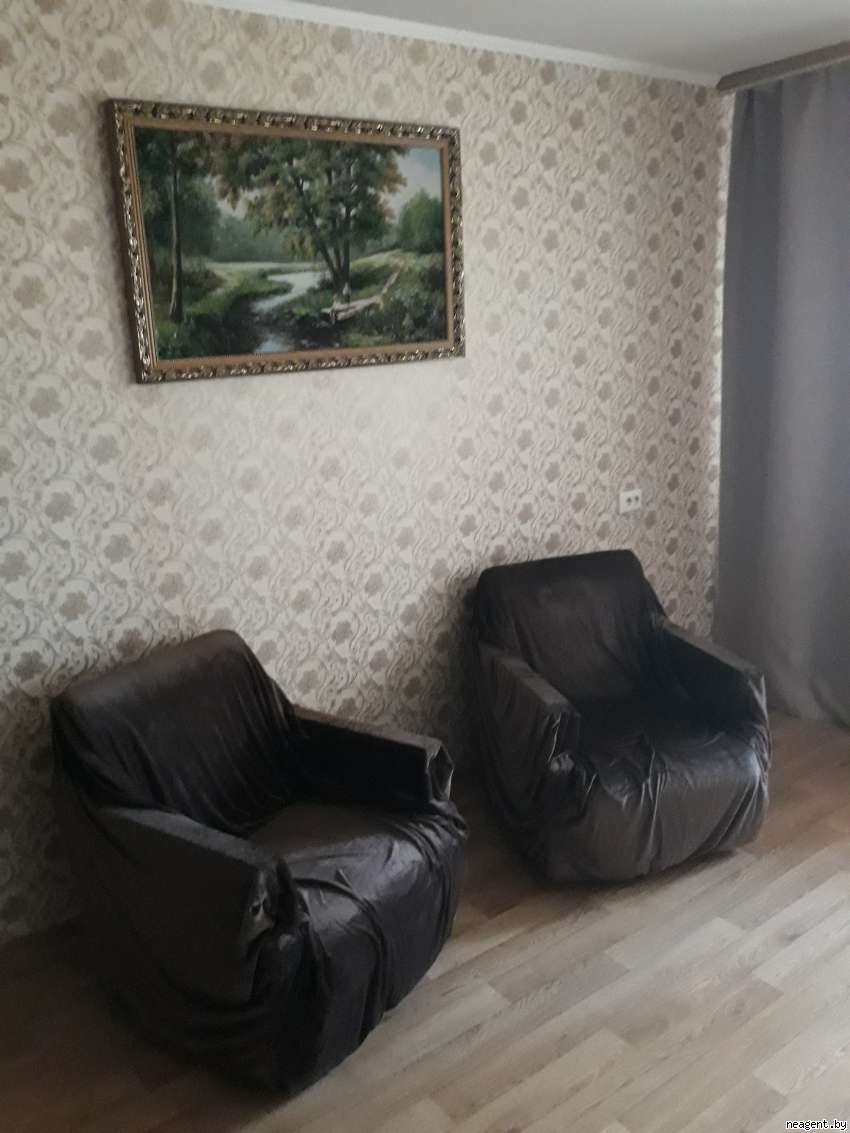 1-комнатная квартира, Пушкина просп., 30, 1010 рублей: фото 3