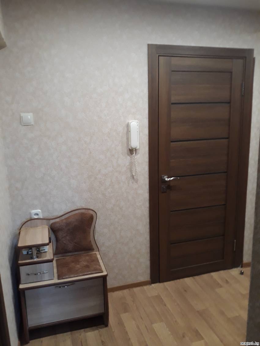 1-комнатная квартира, Пушкина просп., 30, 1010 рублей: фото 4
