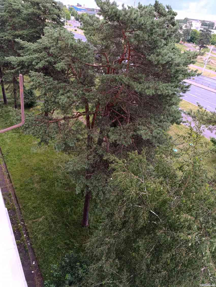 1-комнатная квартира, ул. Кабушкина, 92, 900 рублей: фото 4