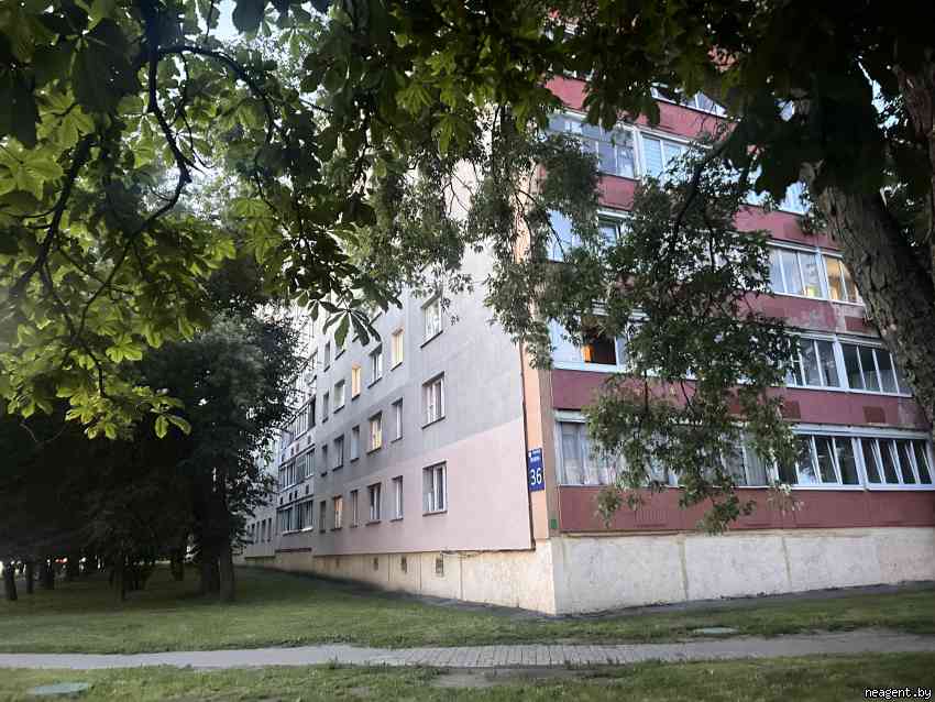 1-комнатная квартира, Пушкина просп., 36, 267565 рублей: фото 15