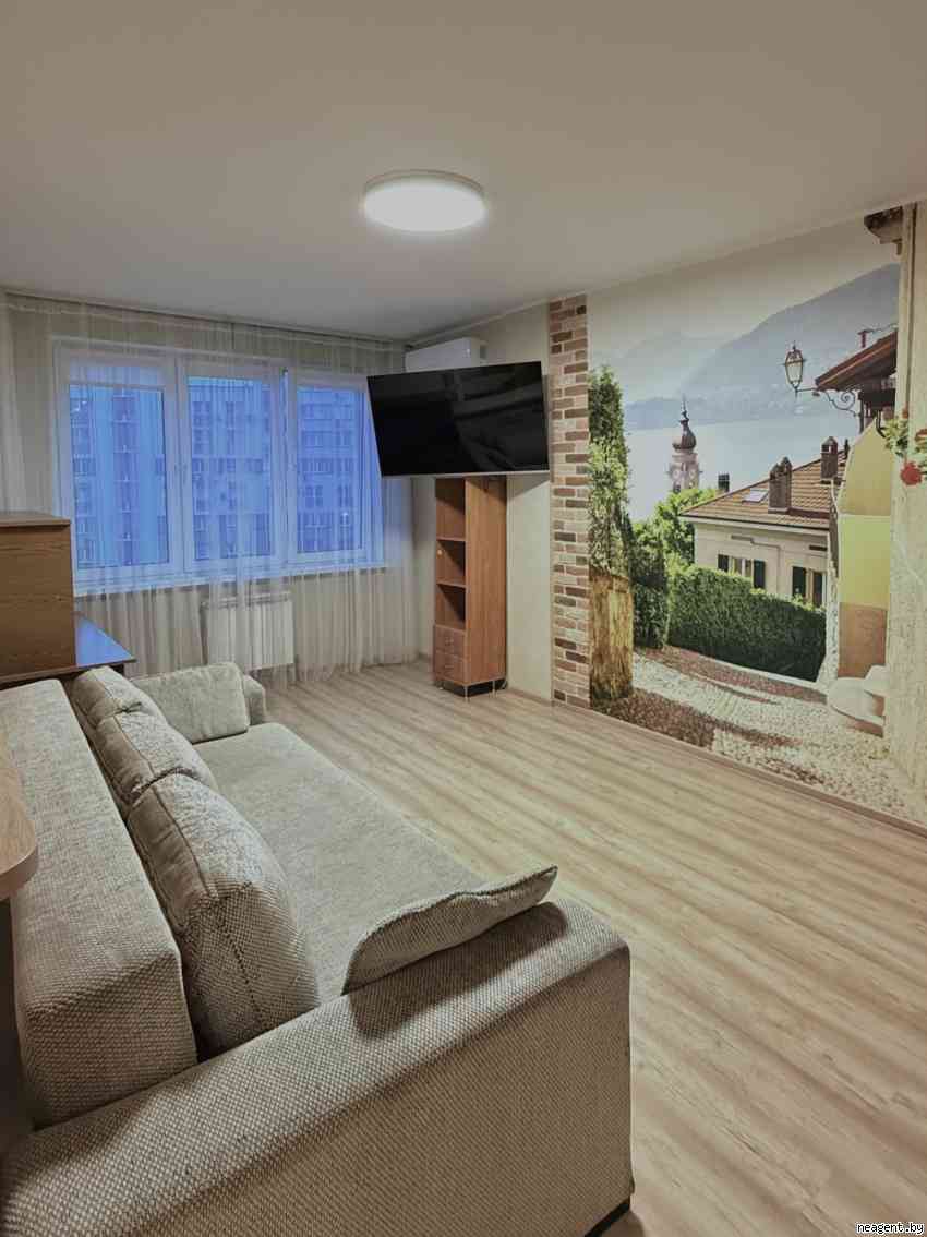 1-комнатная квартира, ул. Скрыганова, 4д, 520 рублей: фото 5