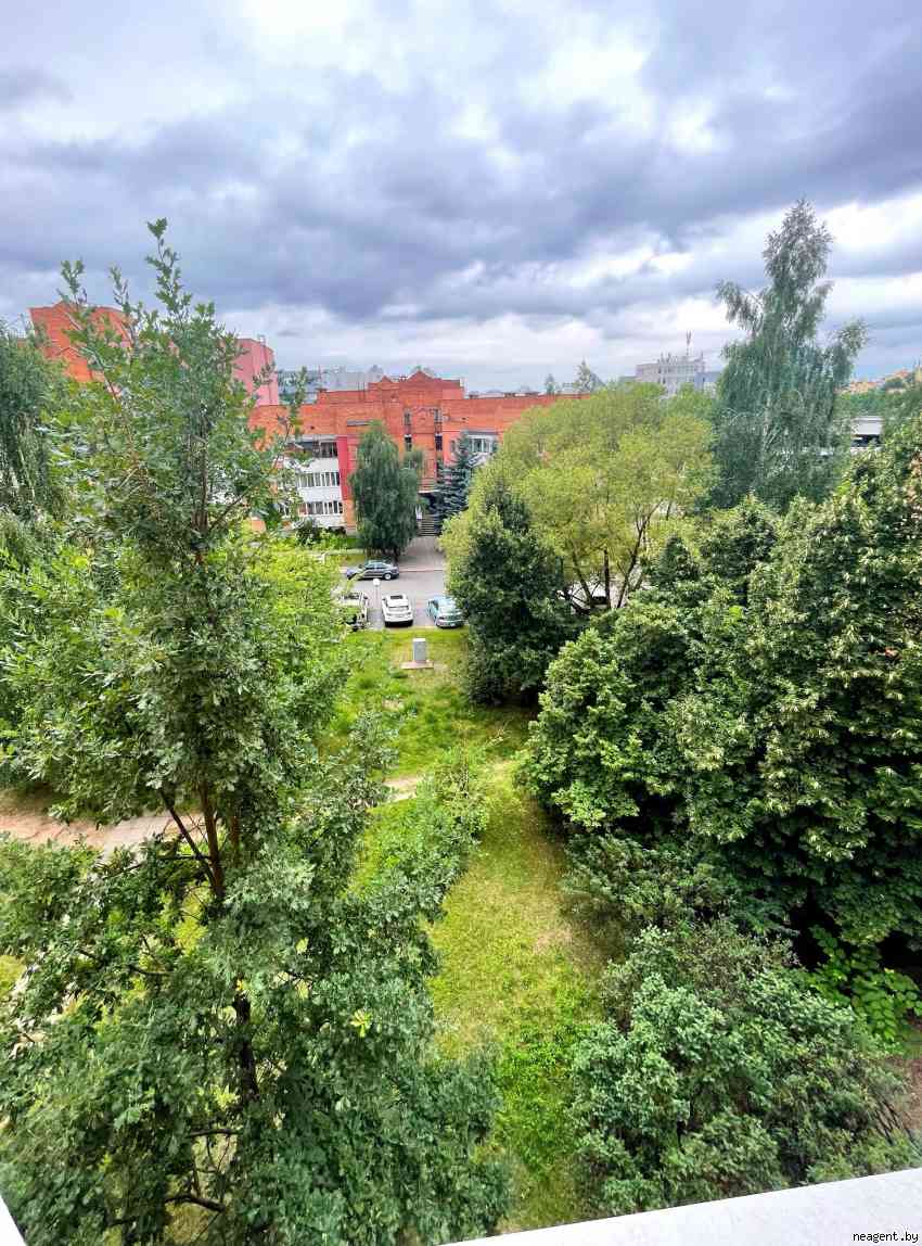 3-комнатная квартира, Городецкая, 15, 2222 рублей: фото 11