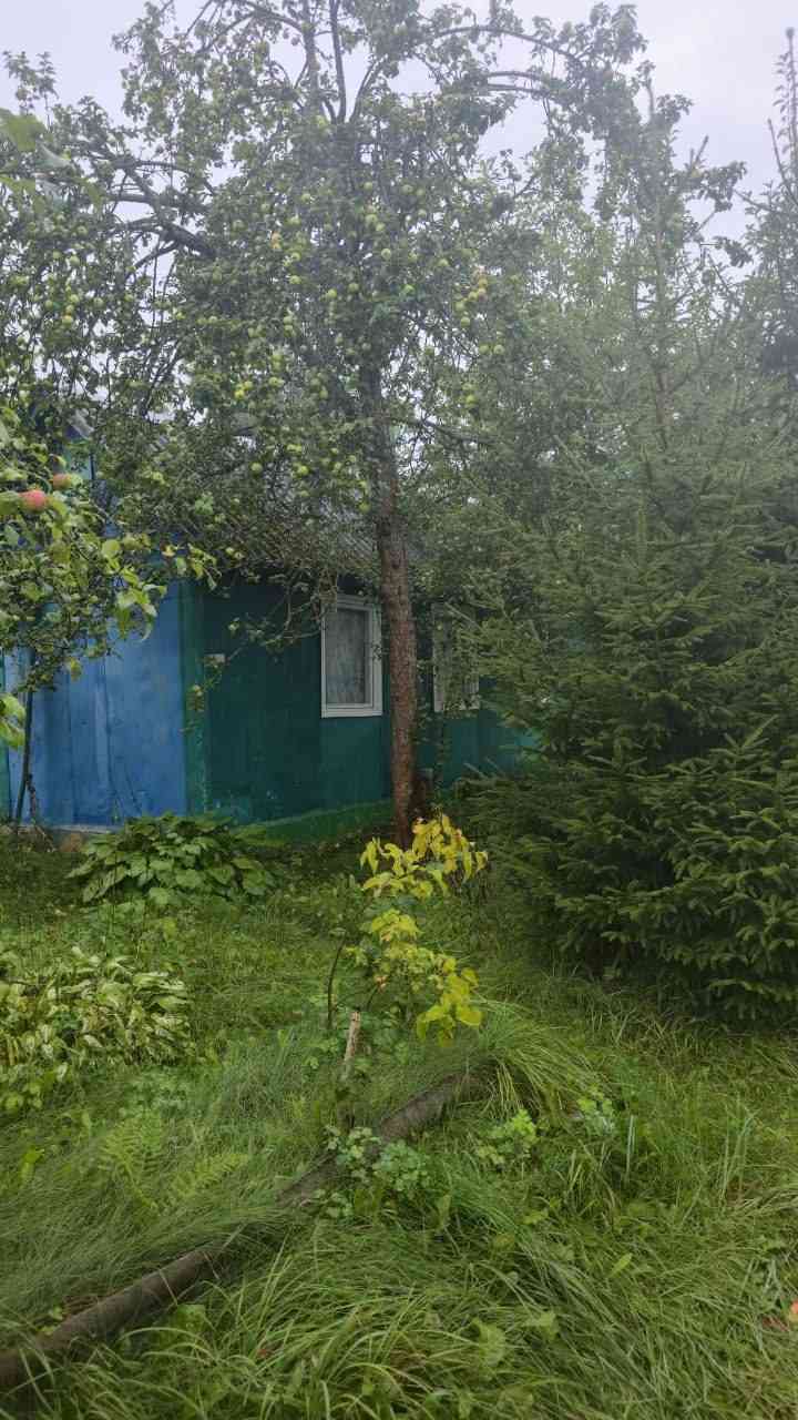 Участок, , 9900 рублей: фото 6