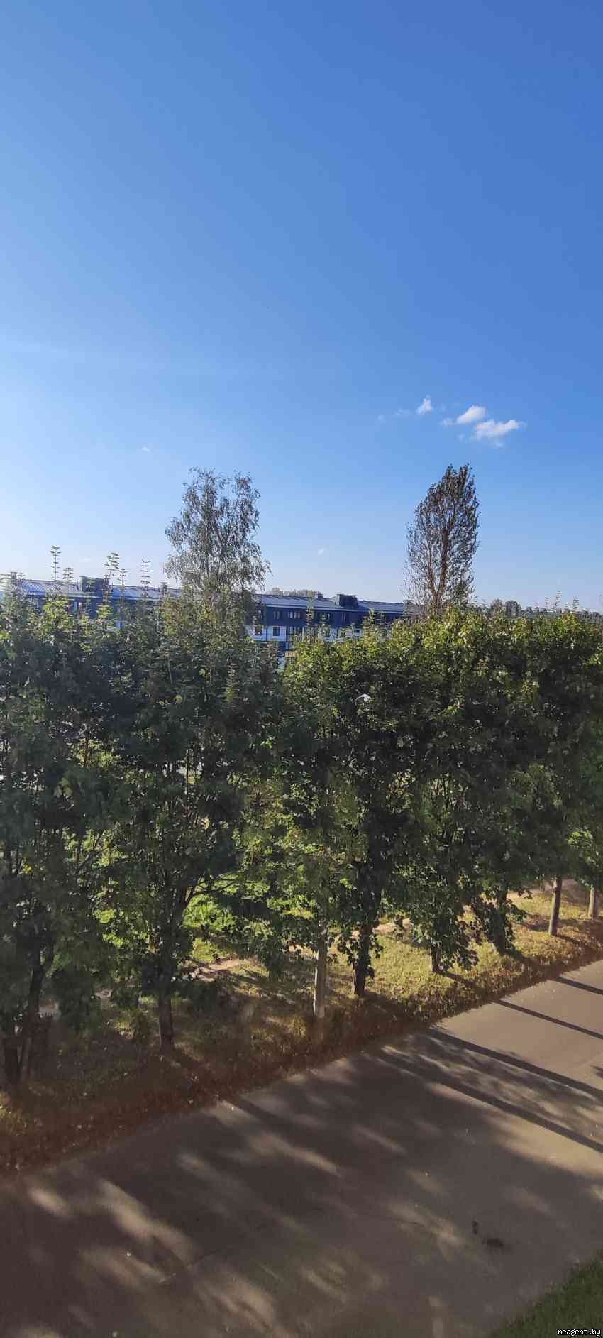 2-комнатная квартира, ул. Мирная, 8, 105000 рублей: фото 13