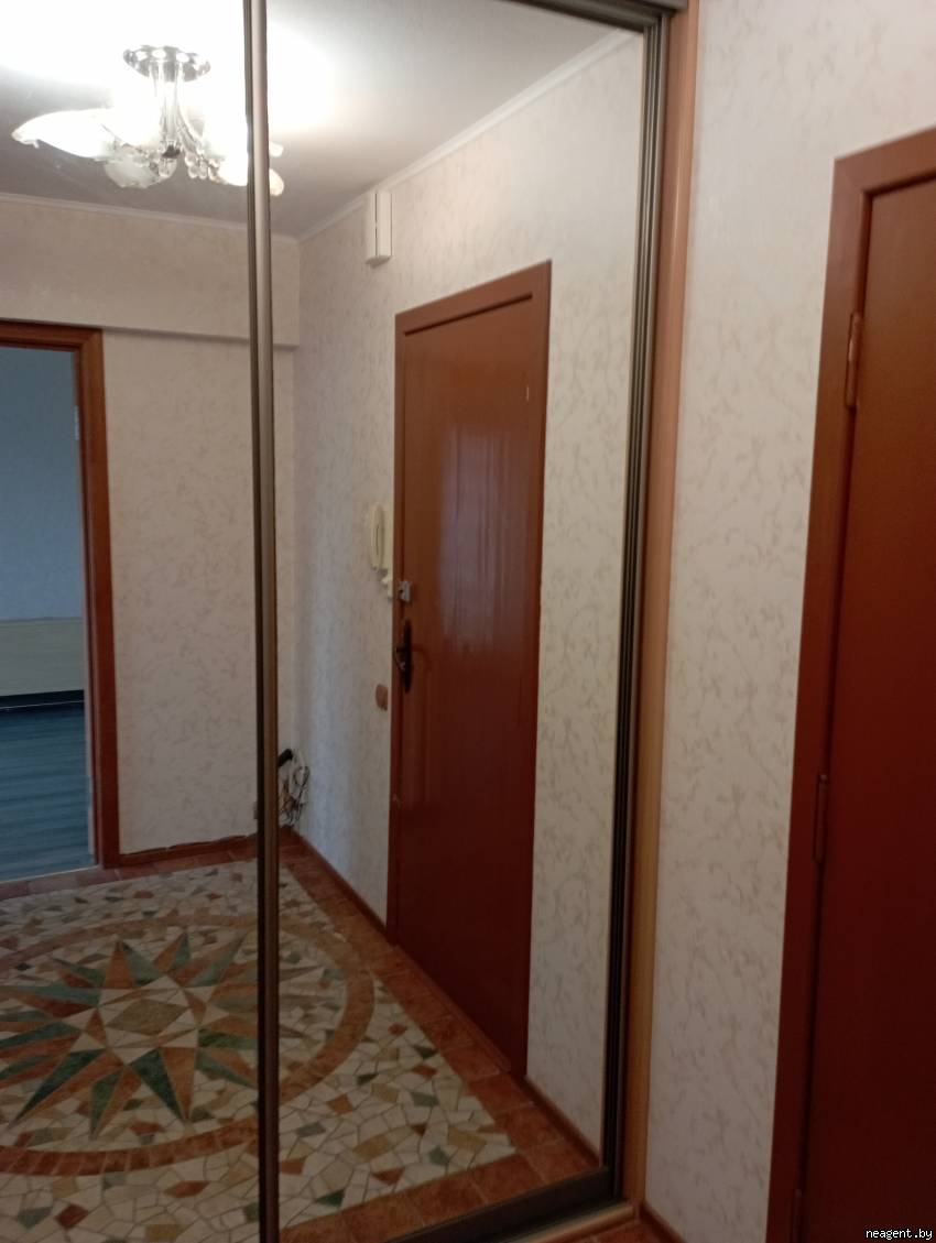 1-комнатная квартира, Пушкина просп., 91, 900 рублей: фото 11