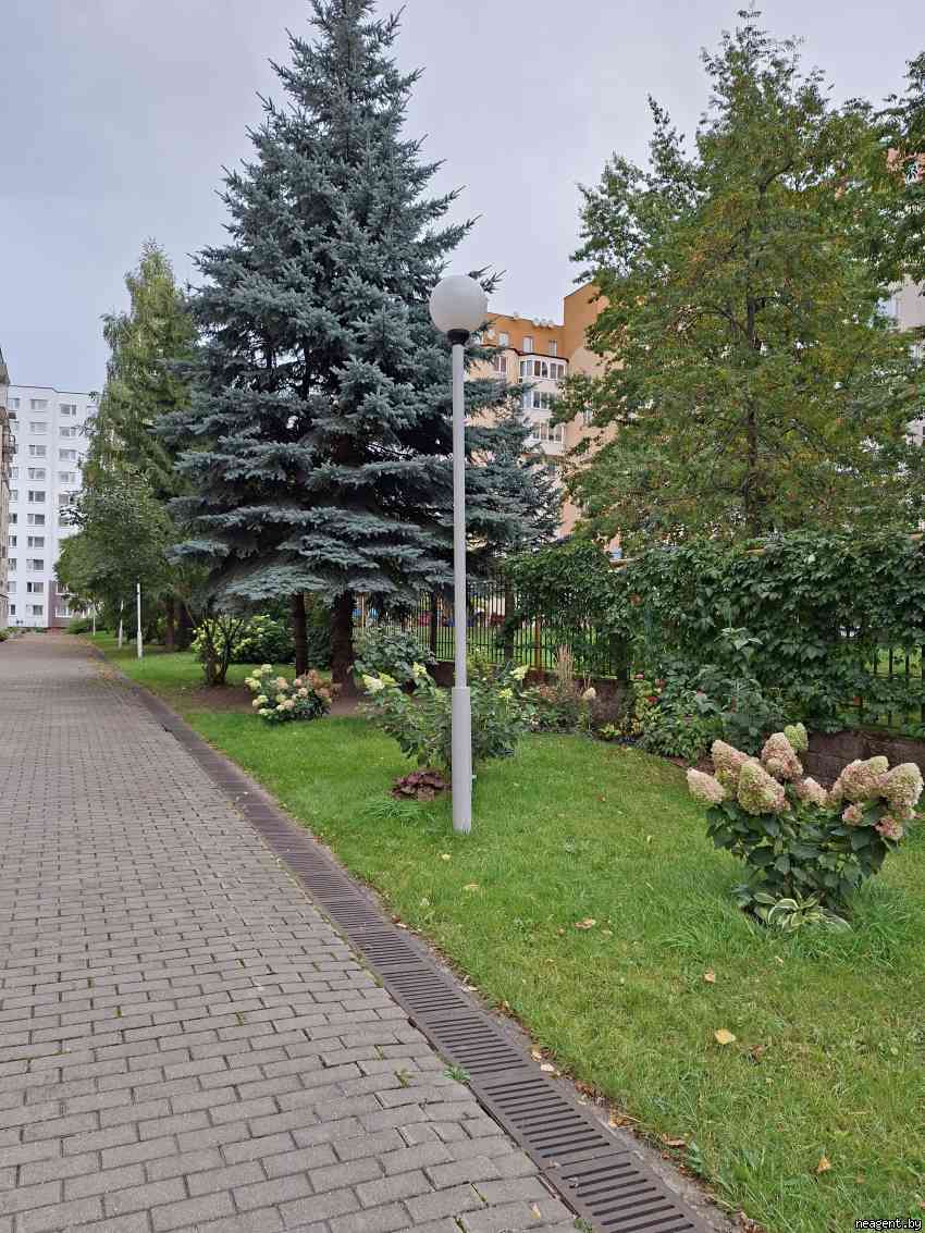 1-комнатная квартира,  ул. Грибоедова, 1950 рублей: фото 12