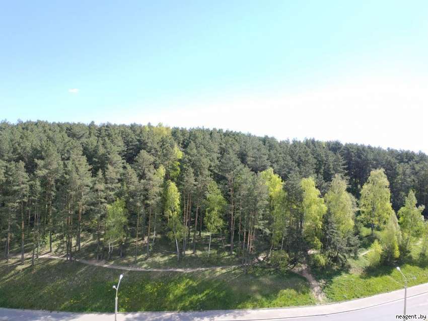 2-комнатная квартира, ул. Лопатина, 6, 1620 рублей: фото 1