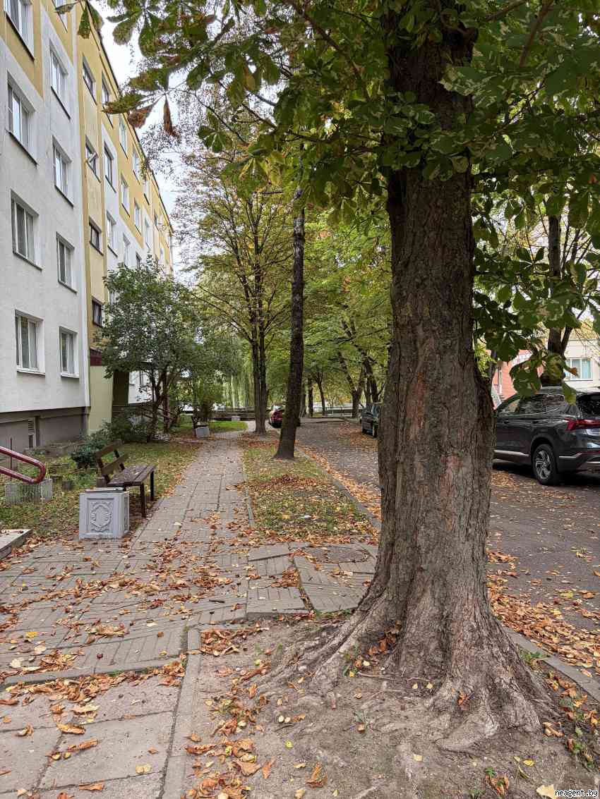 2-комнатная квартира, ул. Янки Мавра, 42, 1511 рублей: фото 11