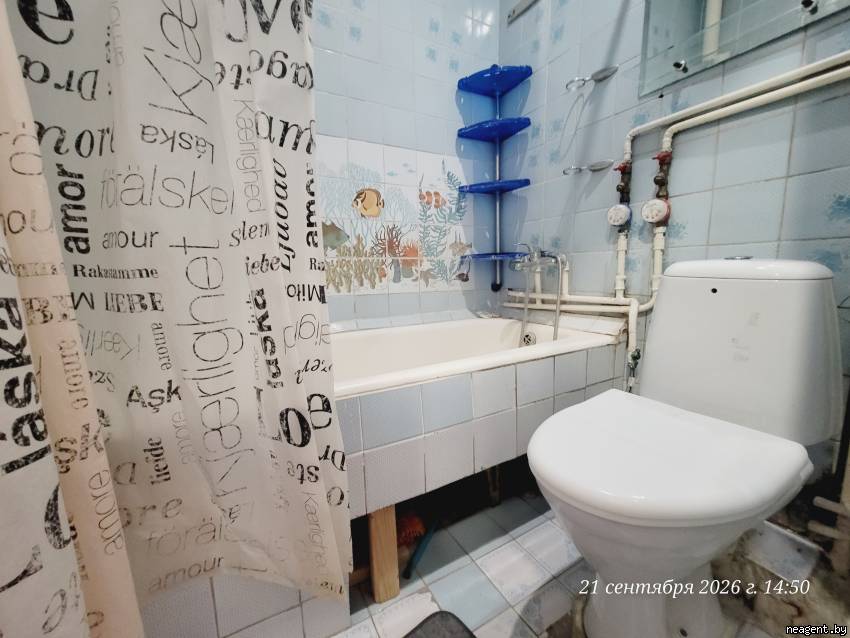 1-комнатная квартира, ул. Орловская, 61, 906 рублей: фото 8