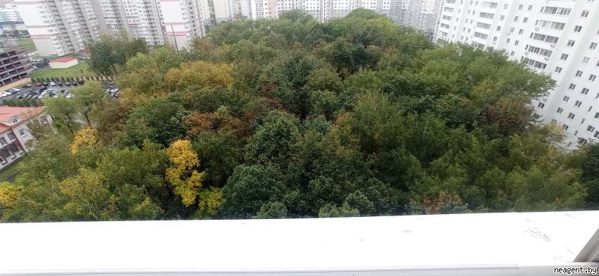 1-комнатная квартира, Дзержинского просп., 15, 1812 рублей: фото 10