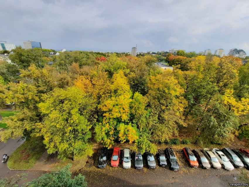 1-комнатная квартира, Пушкина просп., 44, 1607 рублей: фото 20