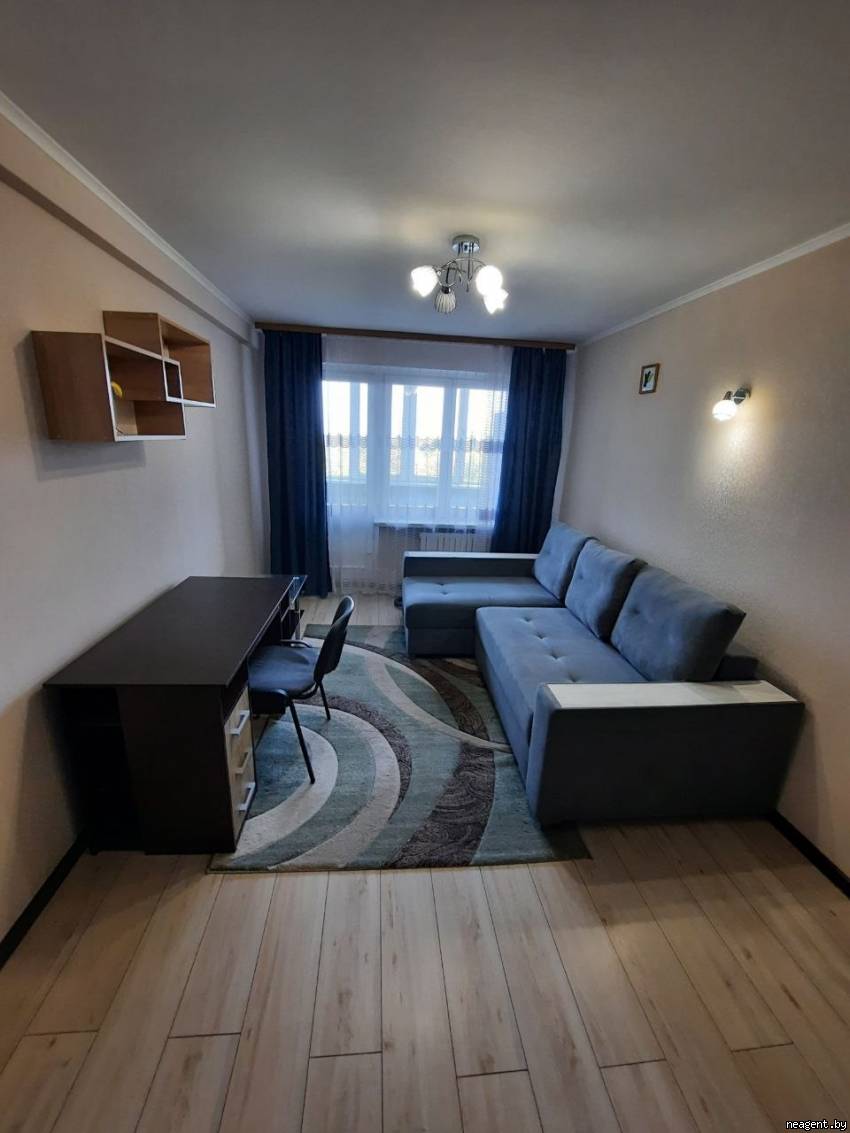 1-комнатная квартира, Пушкина просп., 44, 1607 рублей: фото 5