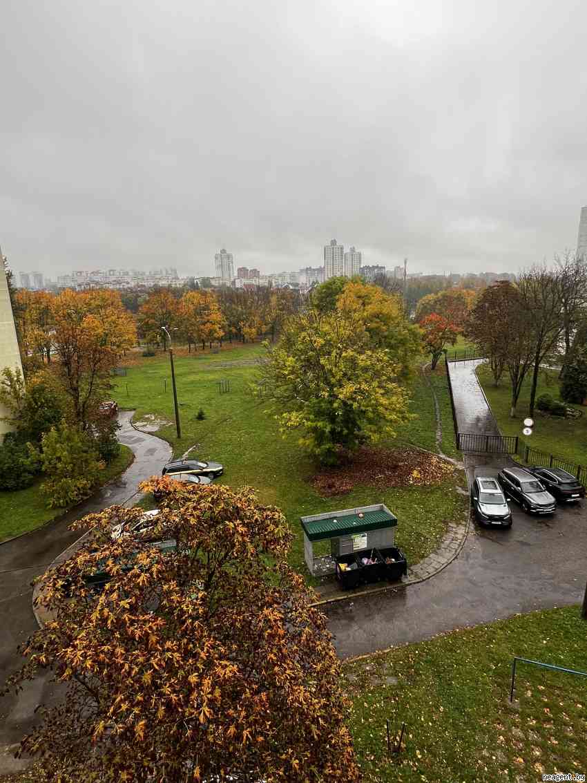 1-комнатная квартира, Рокоссовского просп., 113/4, 1250 рублей: фото 10
